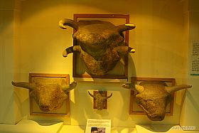 25_11-18-34.jpg 25_11-18-34.jpg