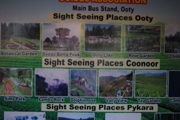 Thumbnail of 14-01-10.15-45-20.JPG