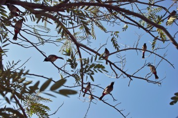 Thumbnail of 14-01-28.10-41-34.jpg