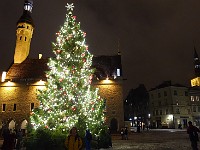 17-01-13.20-28-17  멋진 크리스마스 트리